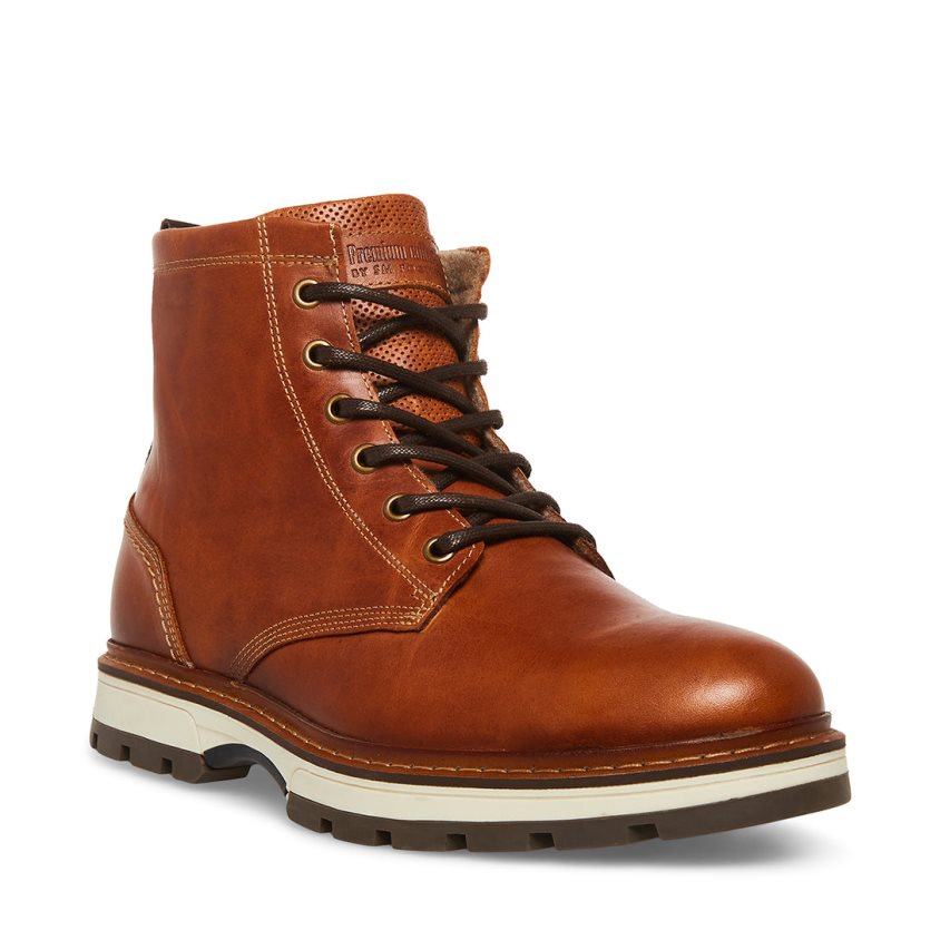 Brown Steve Madden Lucius Leather Men's Ankle Boots | PH 6520JOL